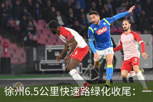 徐州6.5公里快速路绿化收尾：一条高架的价值，一半在桥面上，一半在桥下