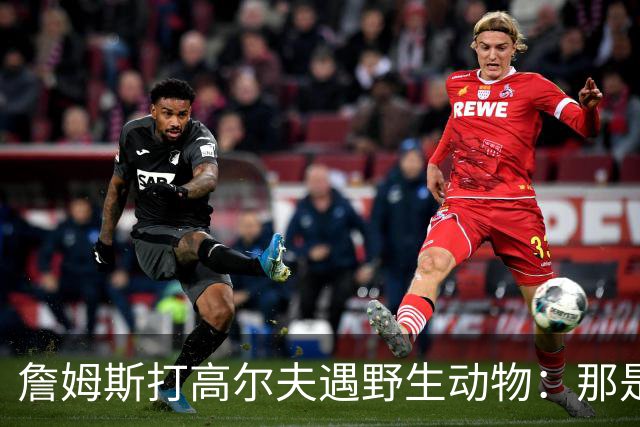 詹姆斯打高尔夫遇野生动物：那是狐狸还是郊狼？